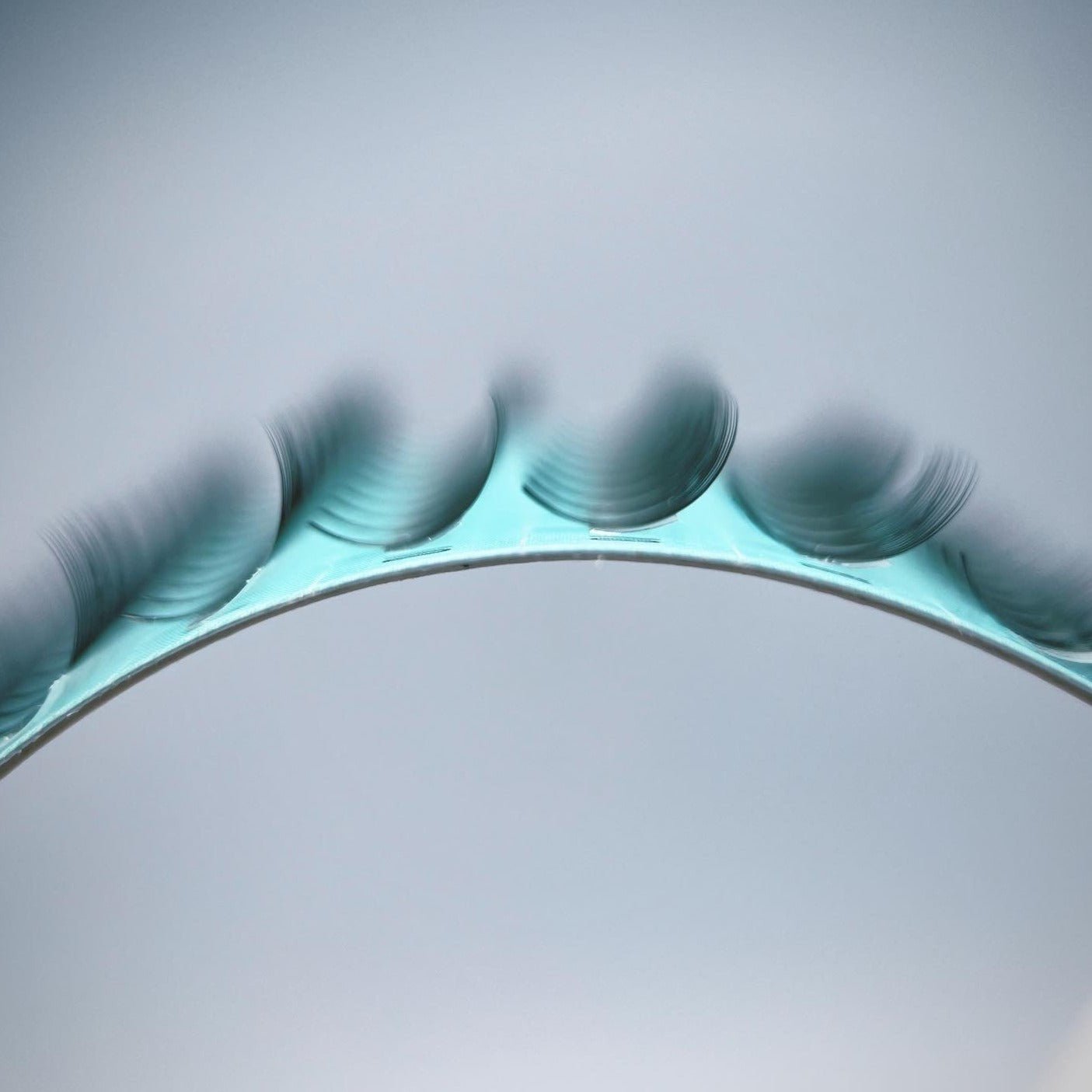 WowSpeed Premade Fans Curl D, 0.07mm, 6D - PrimaVera LashesPremade FansPrimaVera LashesWowSpeed Premade Fans Curl D, 0.07mm, 6DTIF/0.07/D/3D,